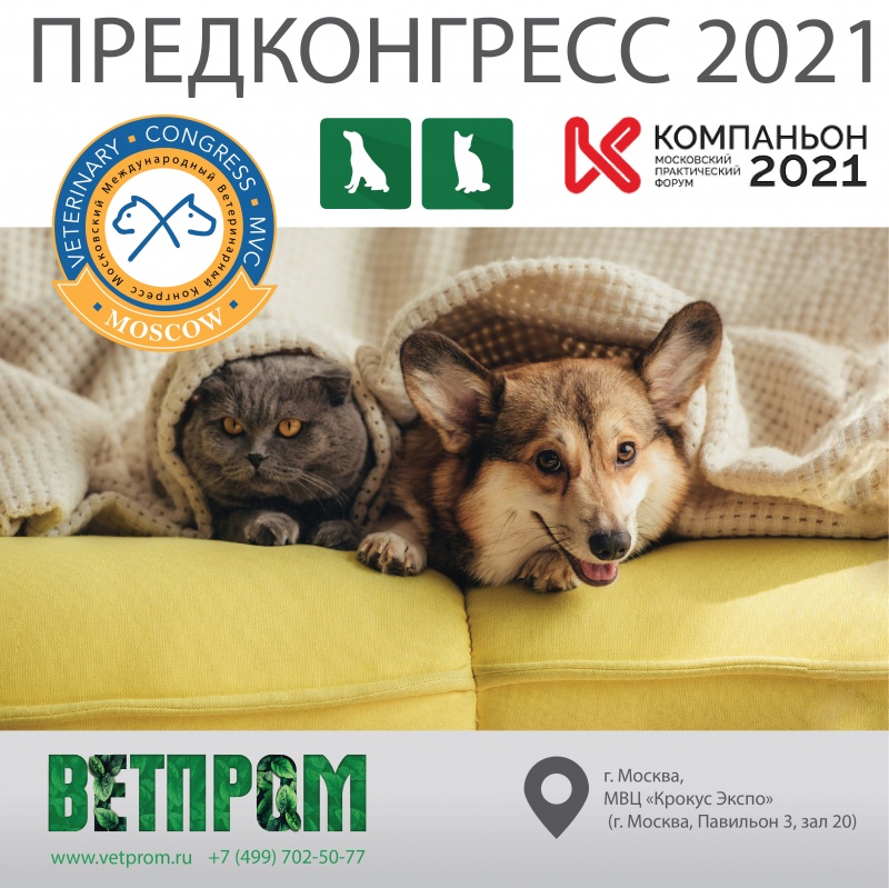 Предконгрессный день MVC 2021 Предконгрессный день MVC 2021